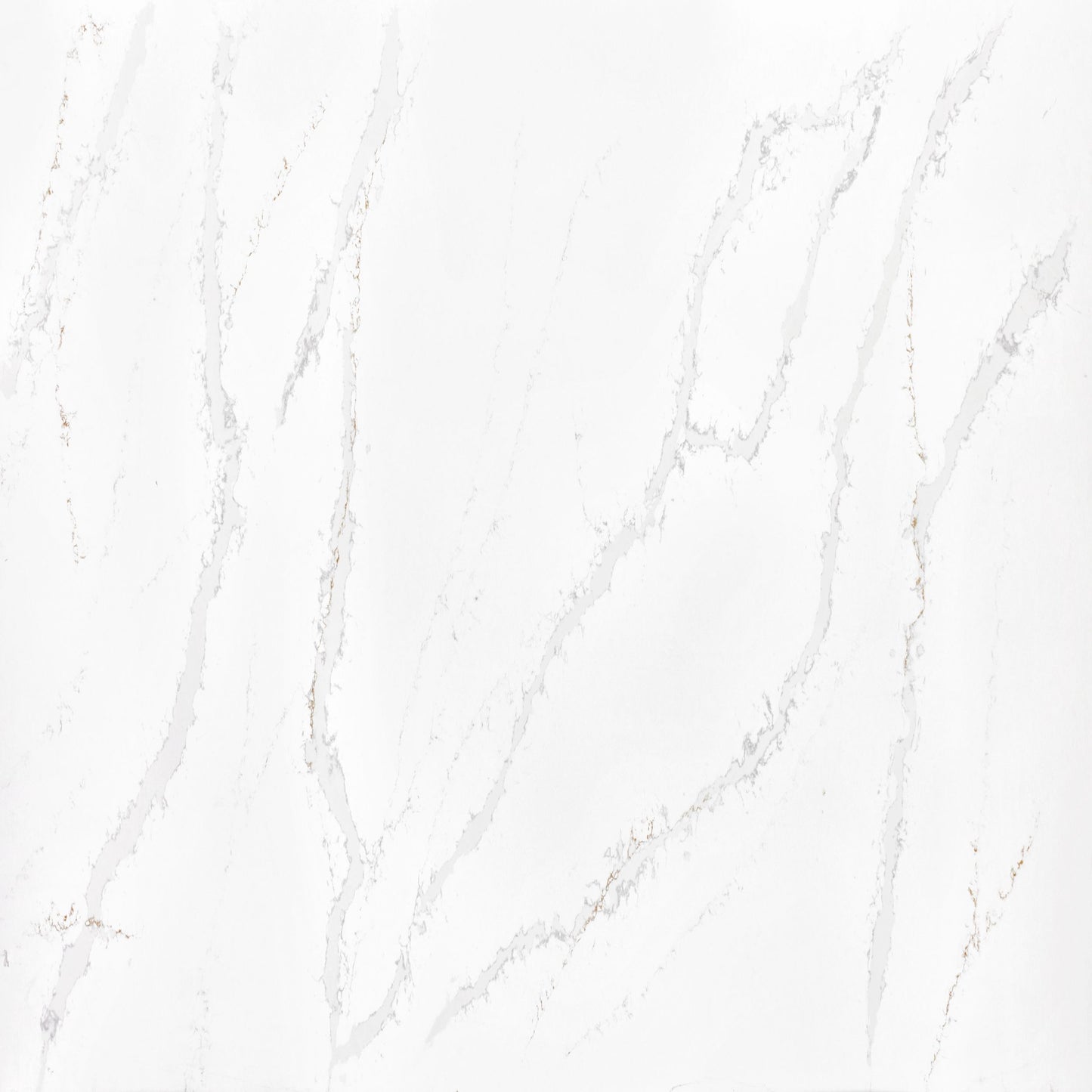 CALACATTA VICTORY 1219