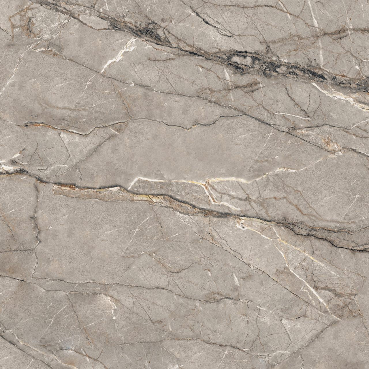 SILVER ROOT