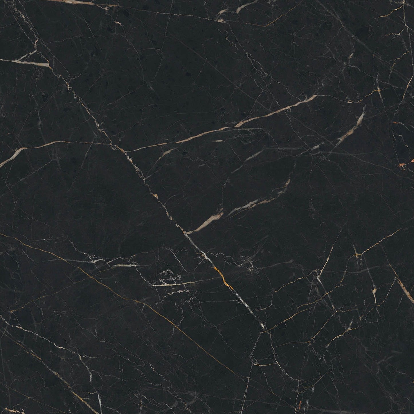 ANATOLIAN BLACK