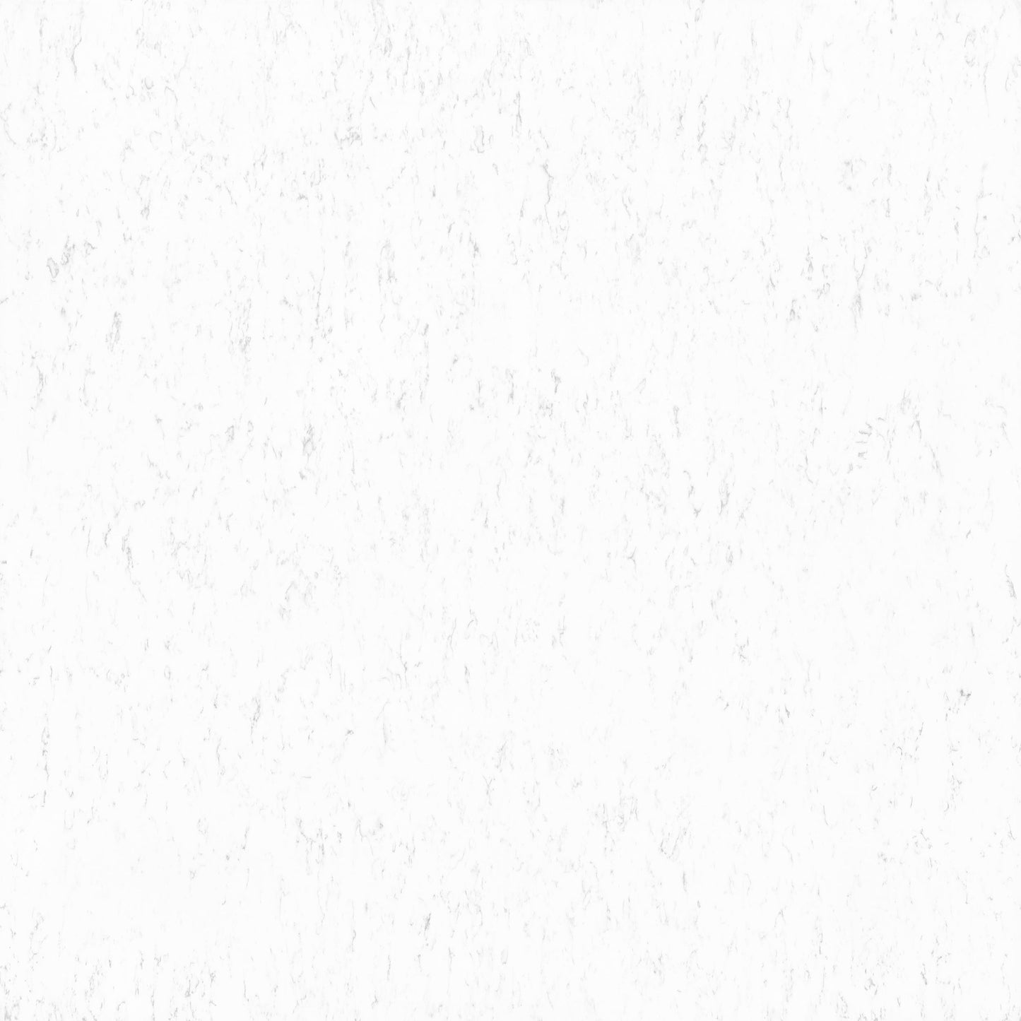 KASHMERA WHITE 4123