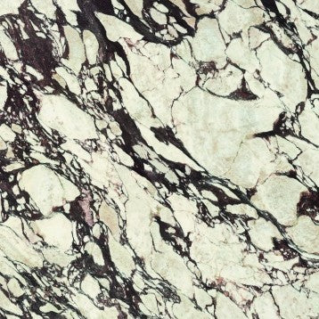 CALACATTA VIOLA