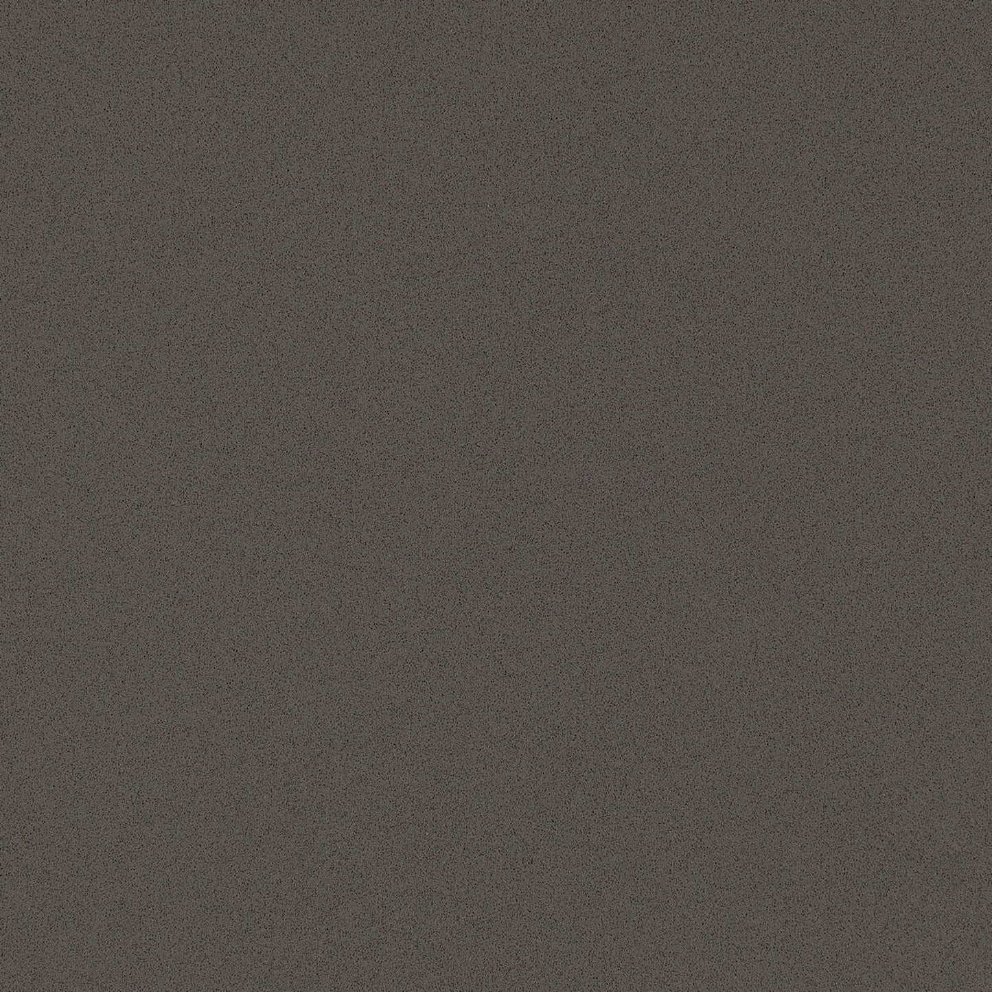 DIVERSA 1106