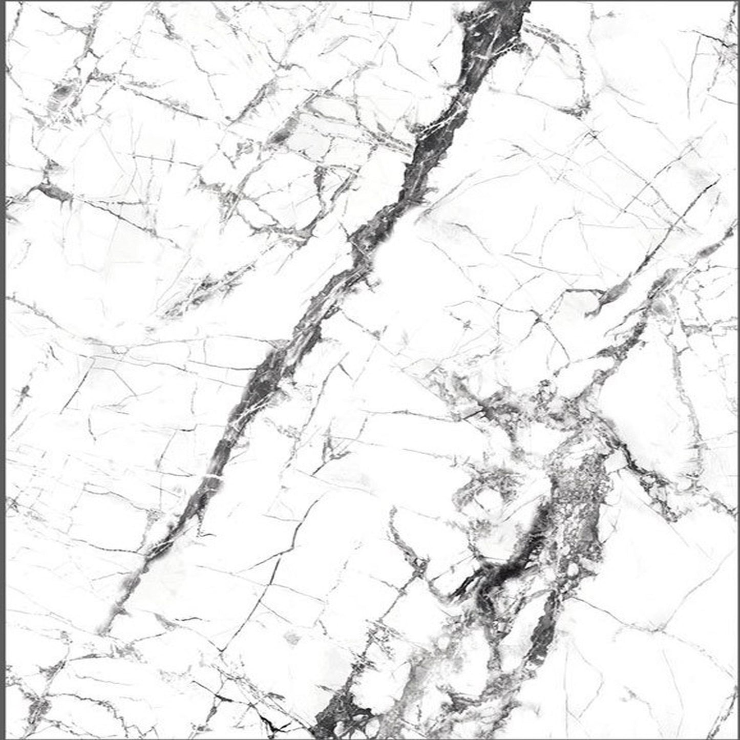 INVISIBLE WHITE
