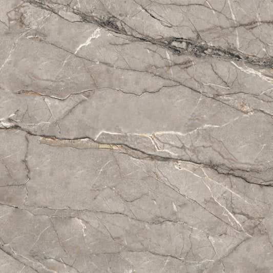 SILVER ROOT