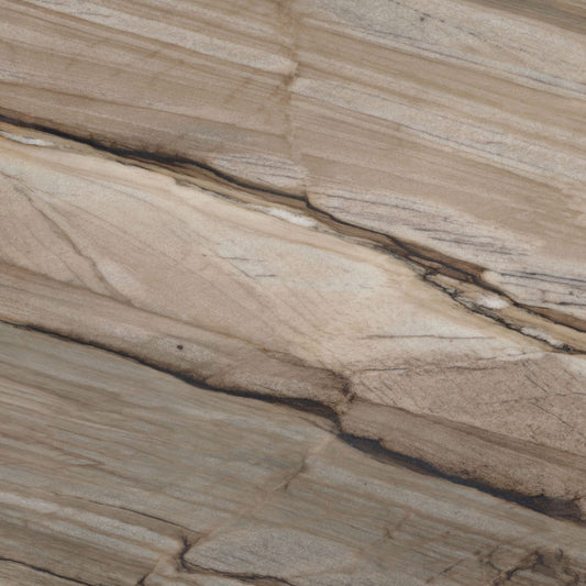 MARBLE SEQUOIA