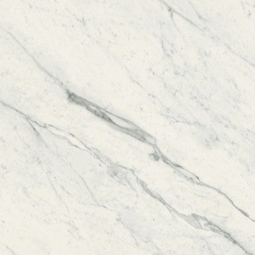 ELEGANT WHITE