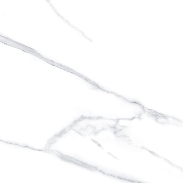 ROMA WHITE