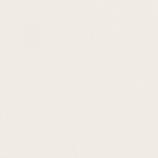 ABSOLUTE WHITE